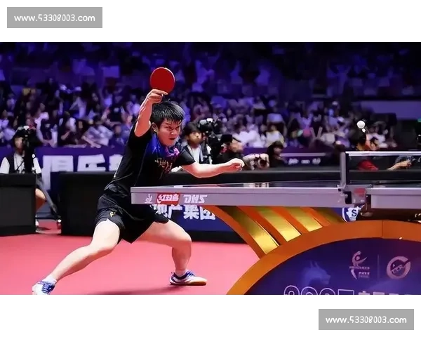 与樊振东隔台相对:那个球台边的夏天奇迹 与樊振东隔台相对:那个球台边的夏天奇迹